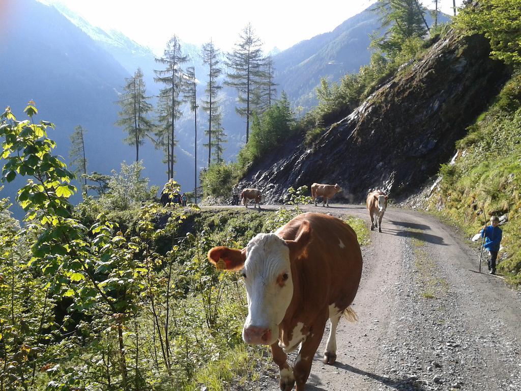 Feriendorf Ponyhof Fusch an der Grossglocknerstrasse Ngoại thất bức ảnh