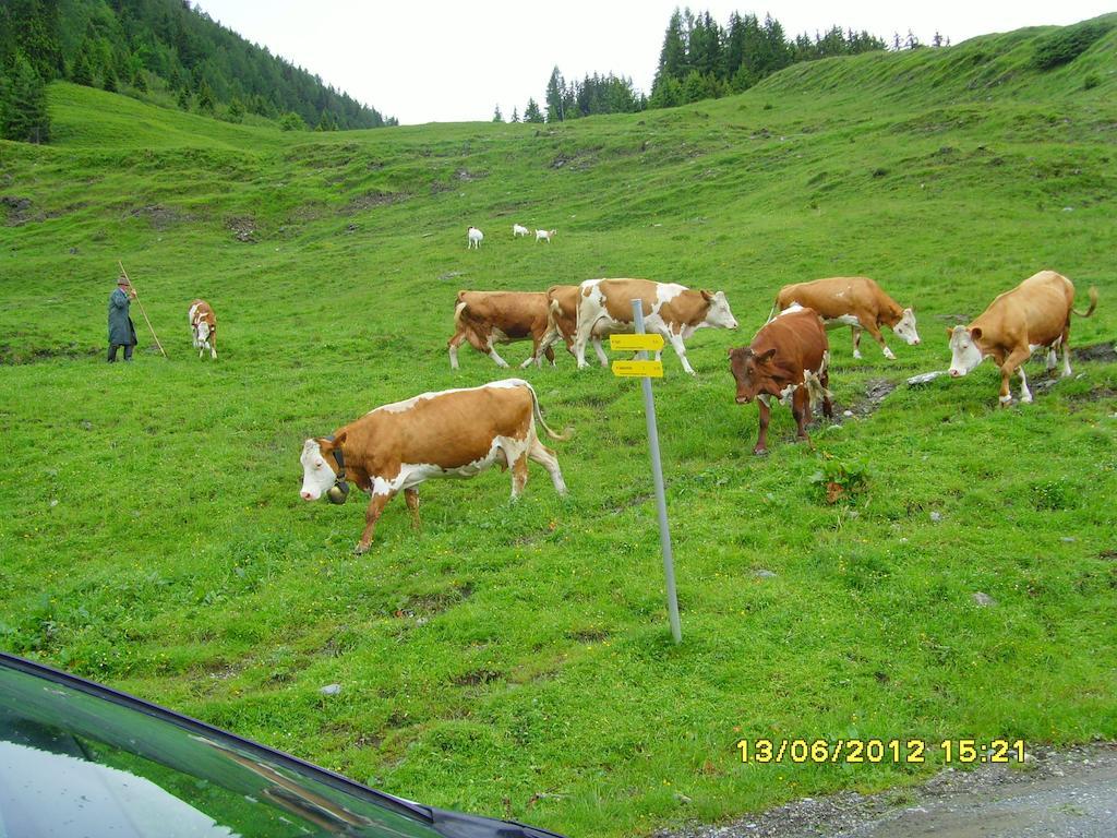 Feriendorf Ponyhof Hotel Fusch an der Grossglocknerstrasse Ngoại thất bức ảnh